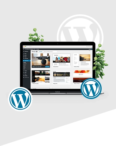 Webwizja